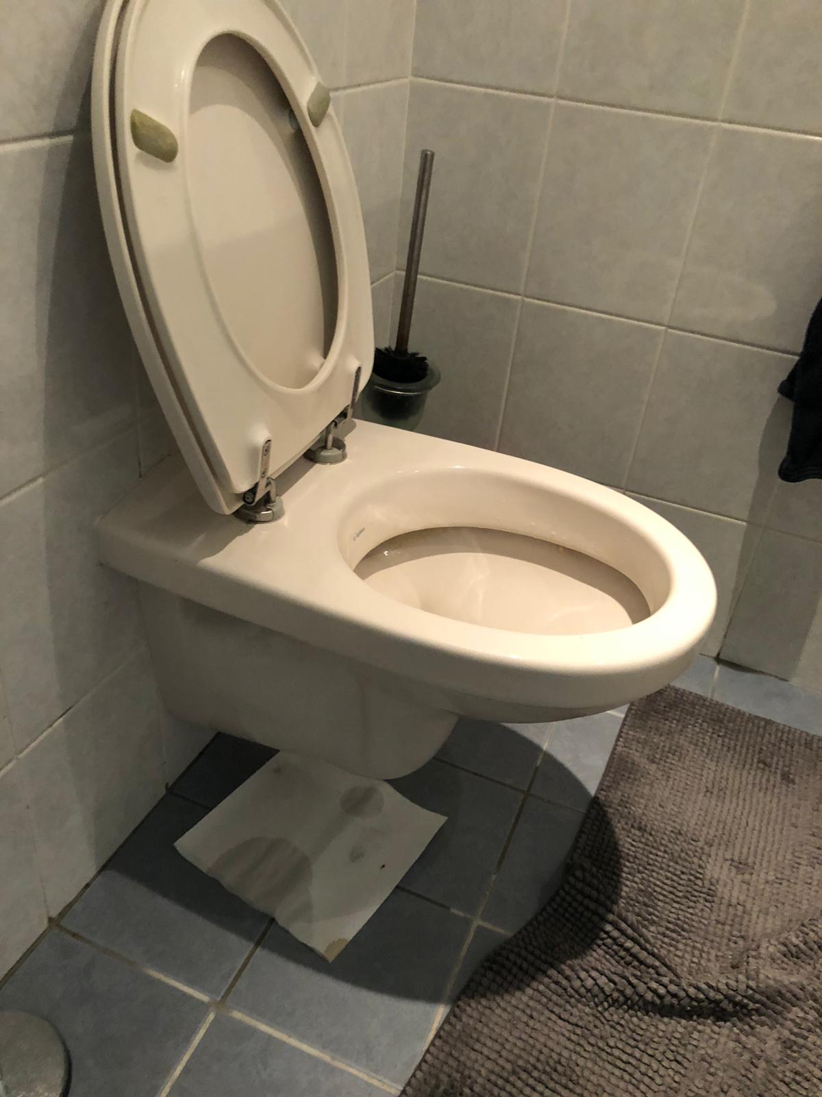 hangtoilet Lopik